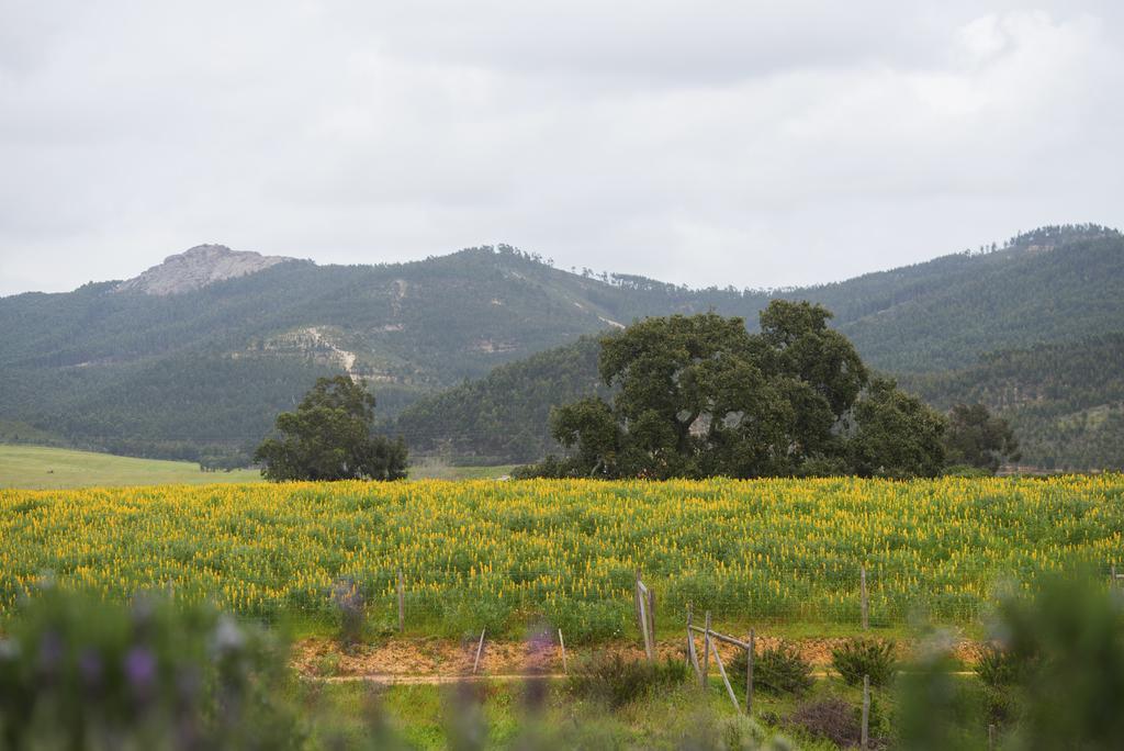Herdade Do Amarelo Nature & Spa Vila Nova de Milfontes Exterior foto